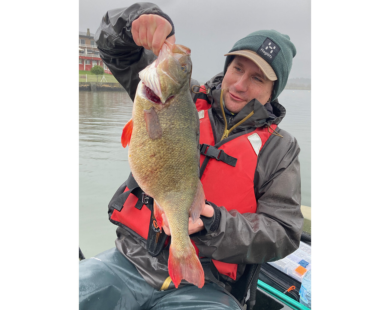 Z-Man David Walker's Crosseyez Snakehead Swim Jig